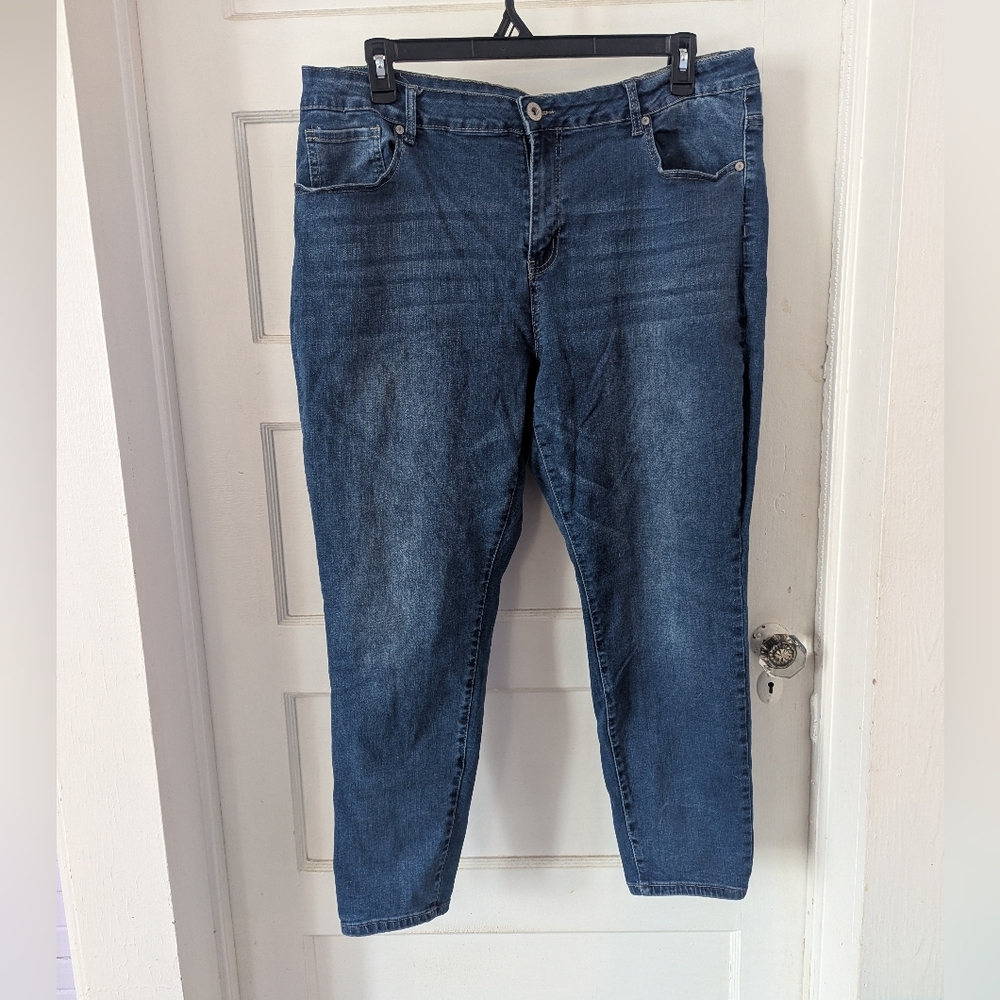 Sandpiper Rose Embroidered Size 22 Skinny Jeans